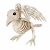 Halloween Decor>Roger's Gardens Bonez The Bird - 5.5" Tall