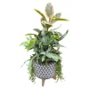 Original Design Arrangements>Roger's Gardens Foliage In Large Grey Aztec Planter