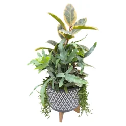 Original Design Arrangements>Roger's Gardens Foliage In Large Grey Aztec Planter