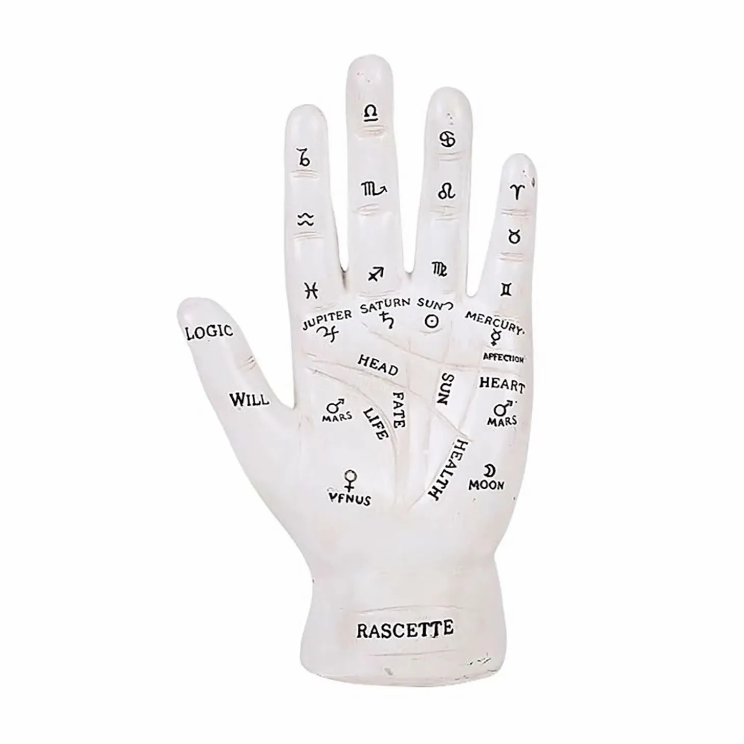 Halloween Decor>Roger's Gardens Fortune Teller's Palm - White - 7" Tall