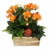 Original Design Arrangements>Roger's Gardens Large Tradational Fall Living Centerpiece