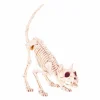 Halloween Decor>Roger's Gardens Lil Kitty Bonez - 7" Tall