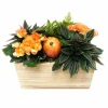 Original Design Arrangements>Roger's Gardens Medium Traditional Fall Living Centerpiece