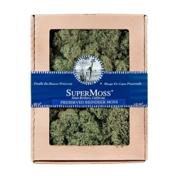 Mosses>Roger's Gardens Reindeer Moss - Basil Color - 8Oz