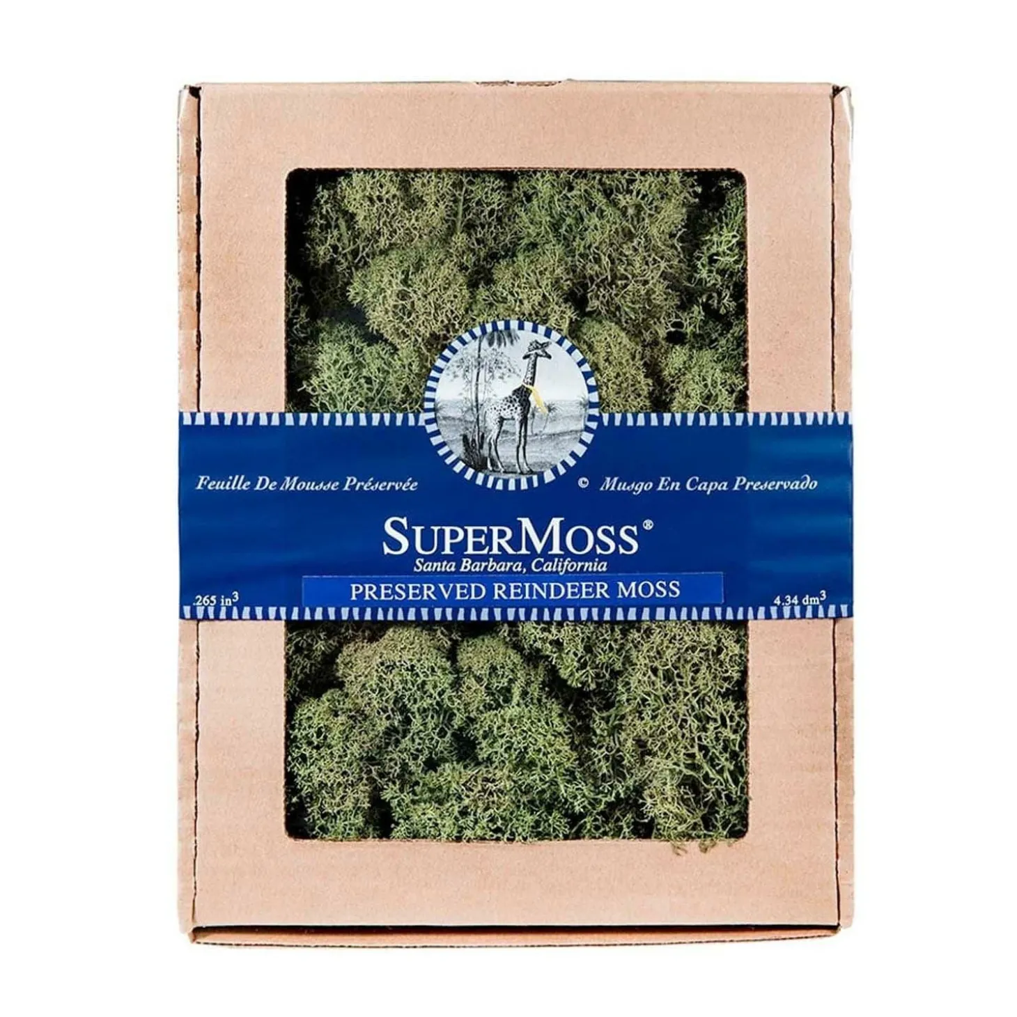 Mosses>Roger's Gardens Reindeer Moss - Basil Color - 8Oz