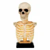 Halloween Decor>Roger's Gardens Skeleton Bust Statue With Light And Sound - 16" Tall