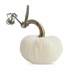 Halloween Decor>Roger's Gardens Snow Velvet Pumpkin - 6" Tall To 8" Tall