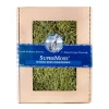 Mosses>Roger's Gardens Spanish Moss - Chartreuse Color - 120 Cu. In.
