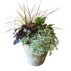 Outdoor Planted Containers>Roger's Gardens White Autumn In Redstone Flare Pot
