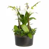 Original Design Arrangements>Roger's Gardens White Orchids In Large Black And Copper Low Tin